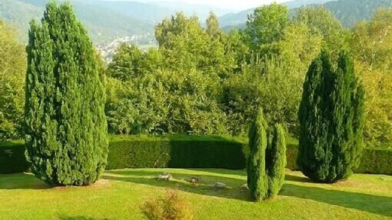 Photo of Outdoor in Fellering