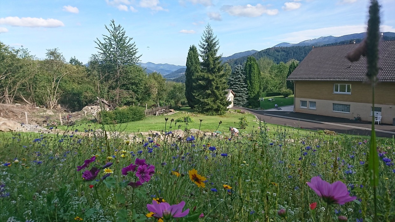 Photo of Outdoor in Fellering