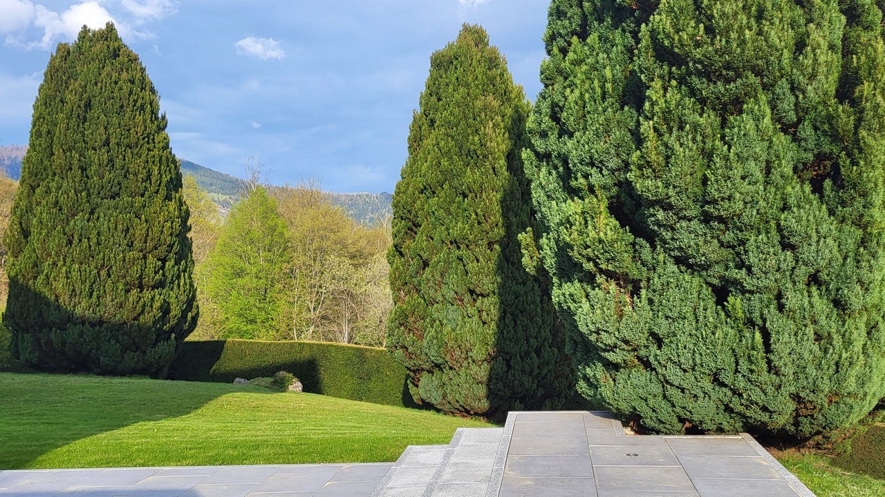 Photo of Outdoor in Fellering