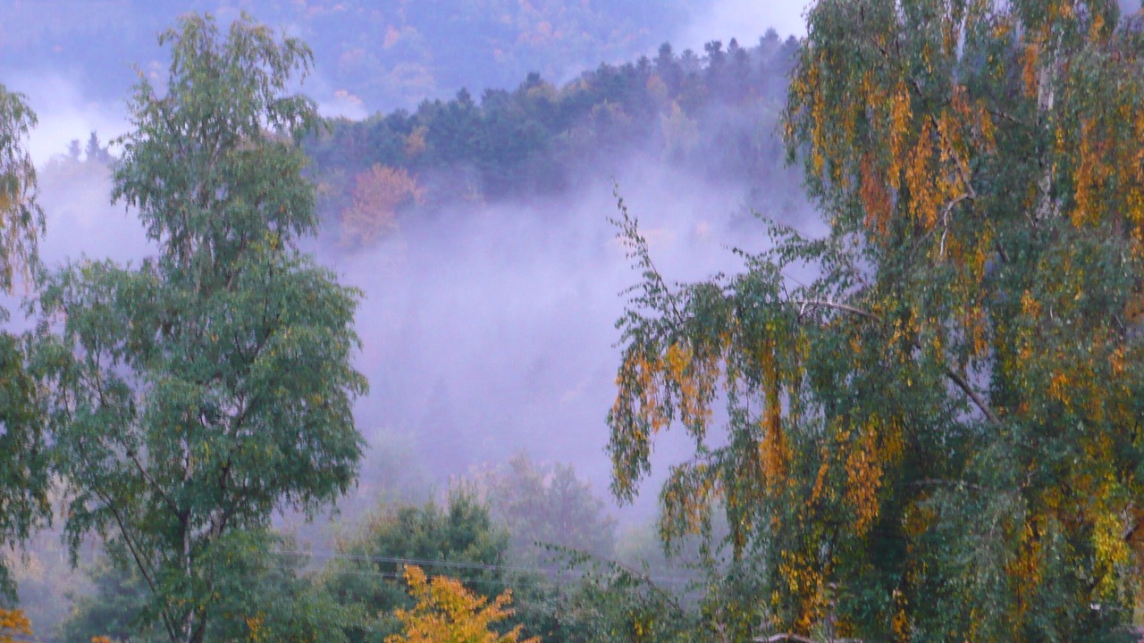 Photo of Outdoor in Fellering