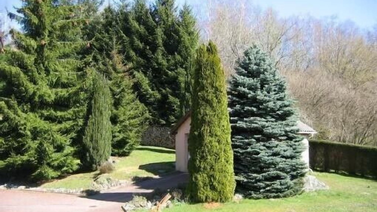 Photo of Outdoor in Fellering