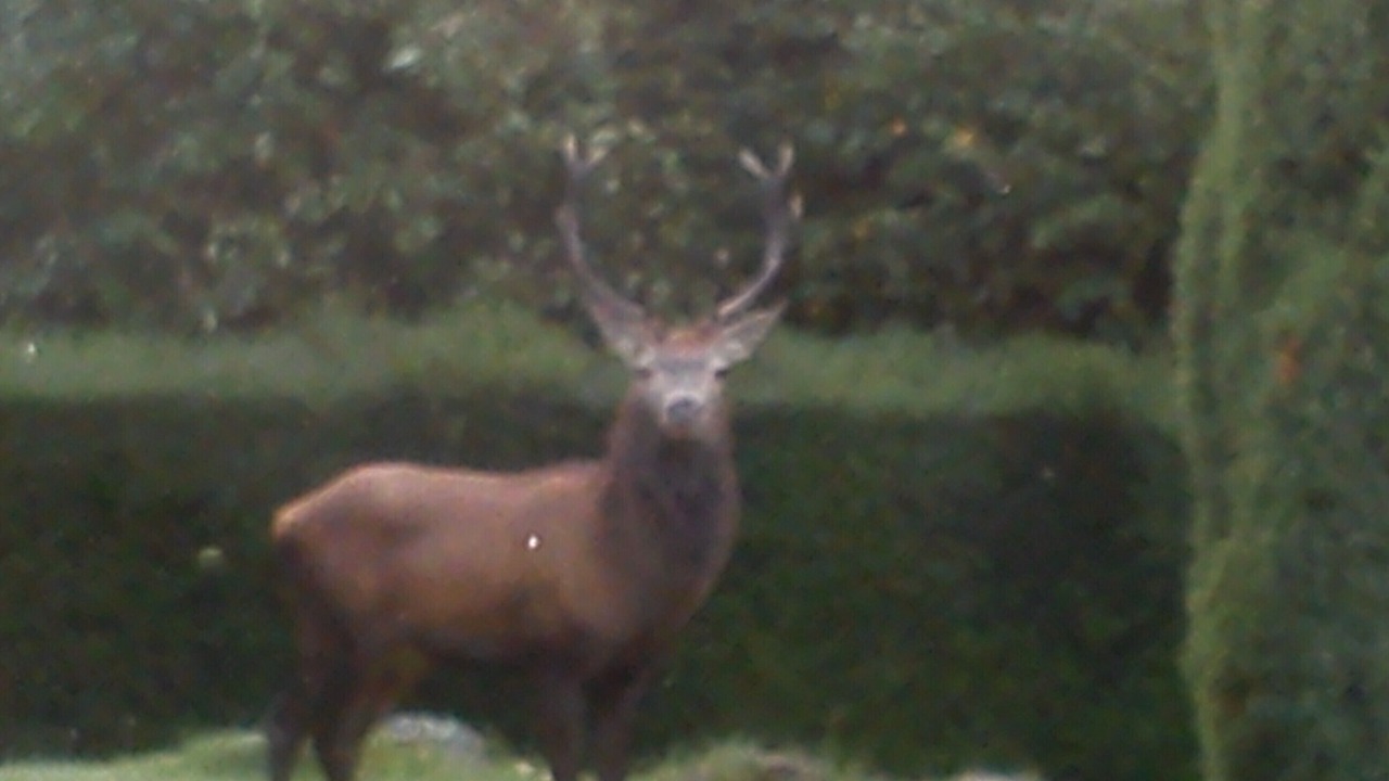 Photo of Outdoor in Fellering
