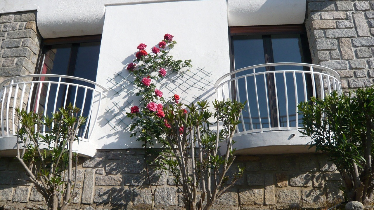 Photo of Outdoor in Verghia