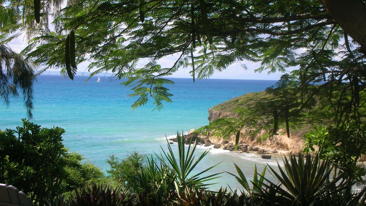 Photo of Others in Riviera du Levant