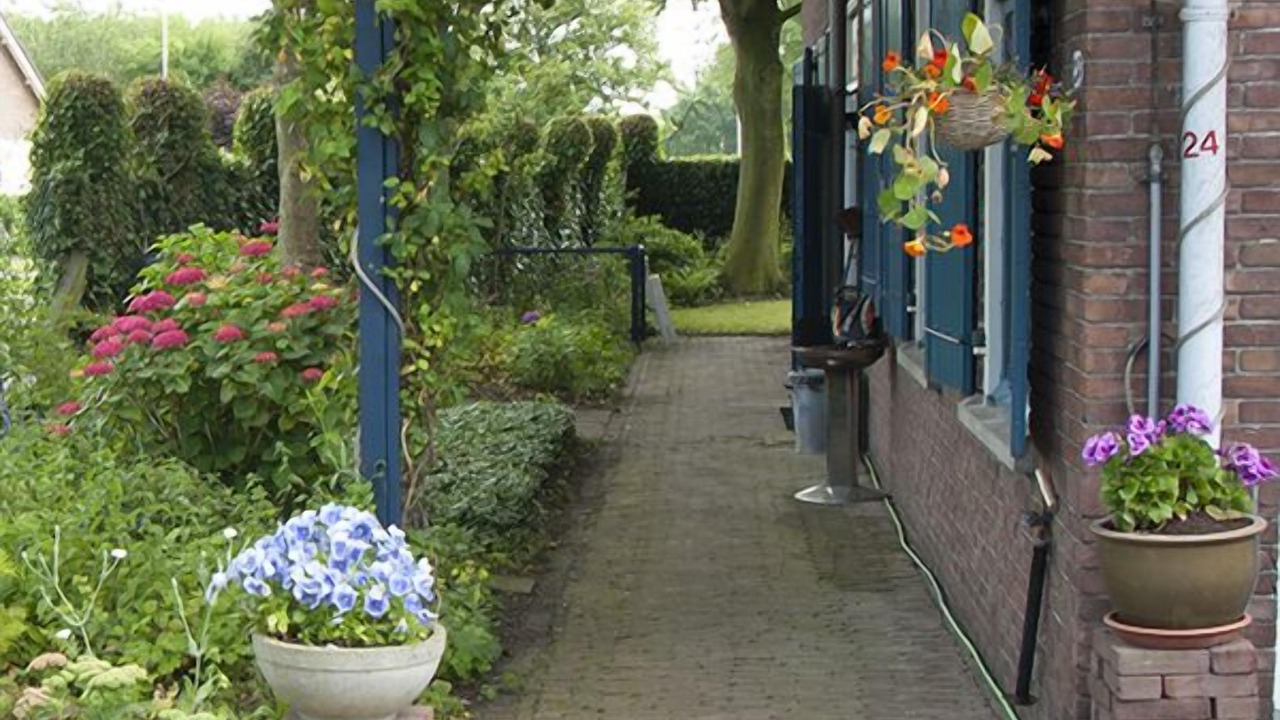 Photo of Outdoor in Den Oever