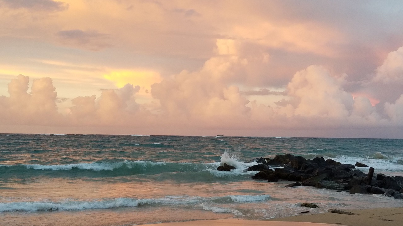 Photo of Others in Condado