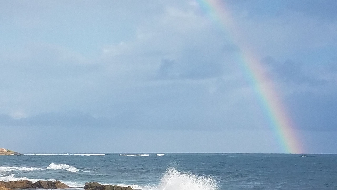Photo of Others in Condado