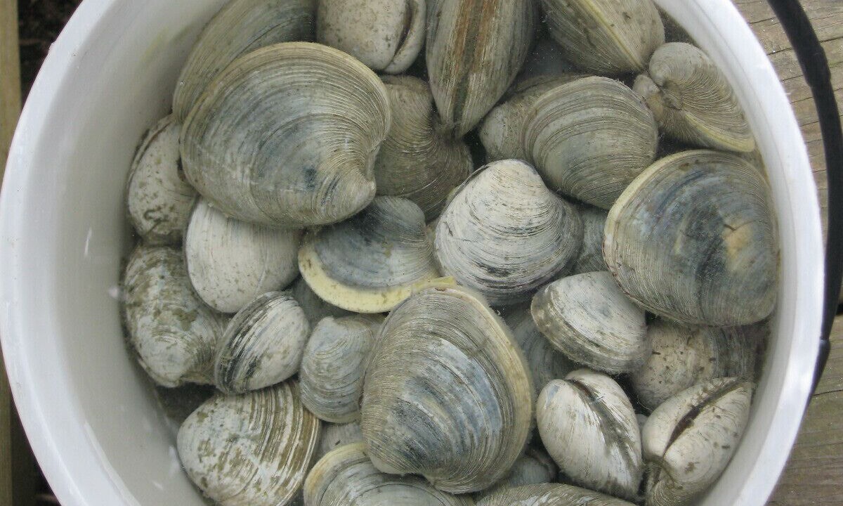 Photo of Others in Breakwater Village