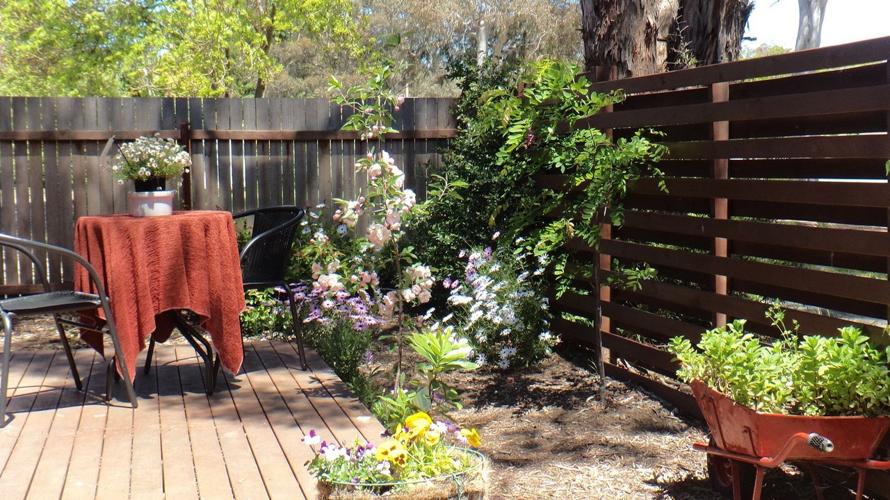 Photo of Outdoor in Cook