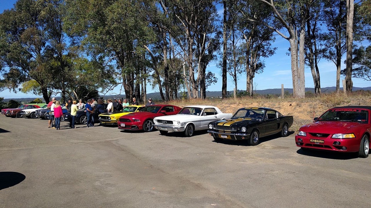 Photo of Others in Mondrook