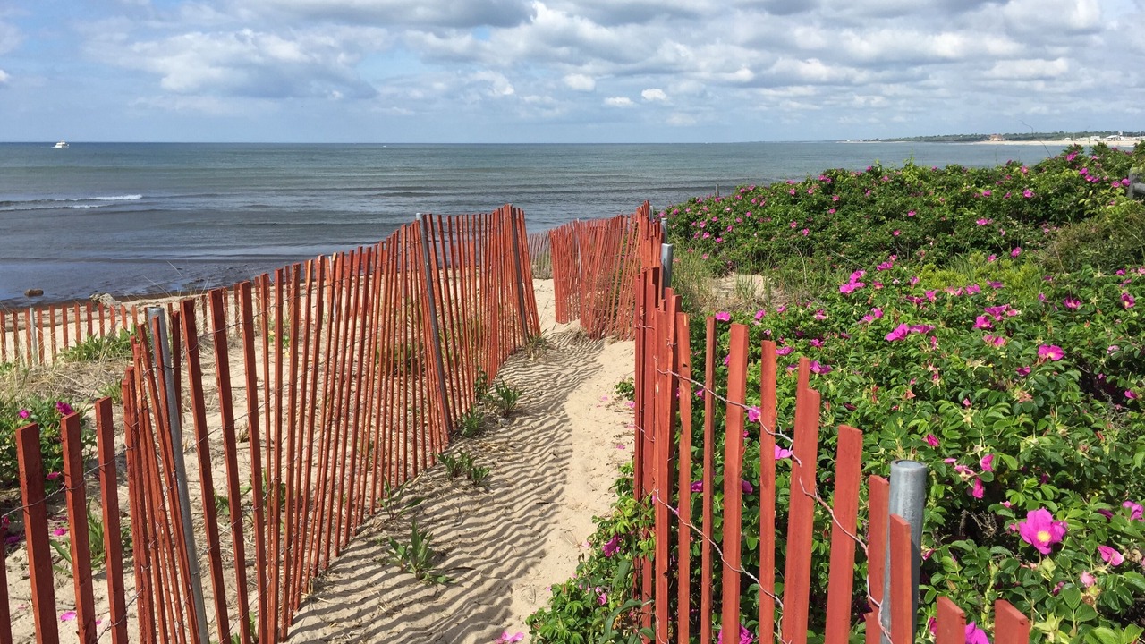 Photo of Others in Matunuck