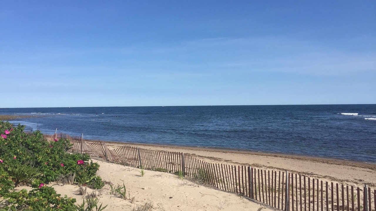 Photo of Others in Matunuck