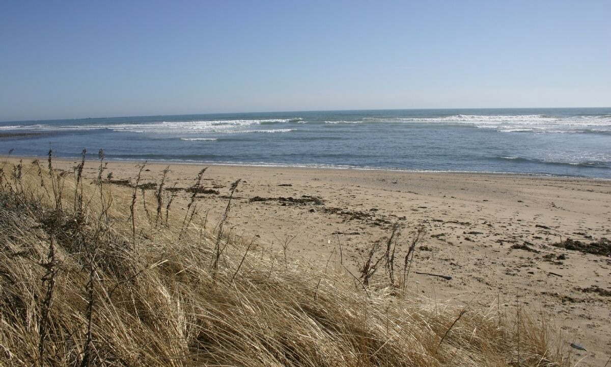 Photo of Others in Matunuck
