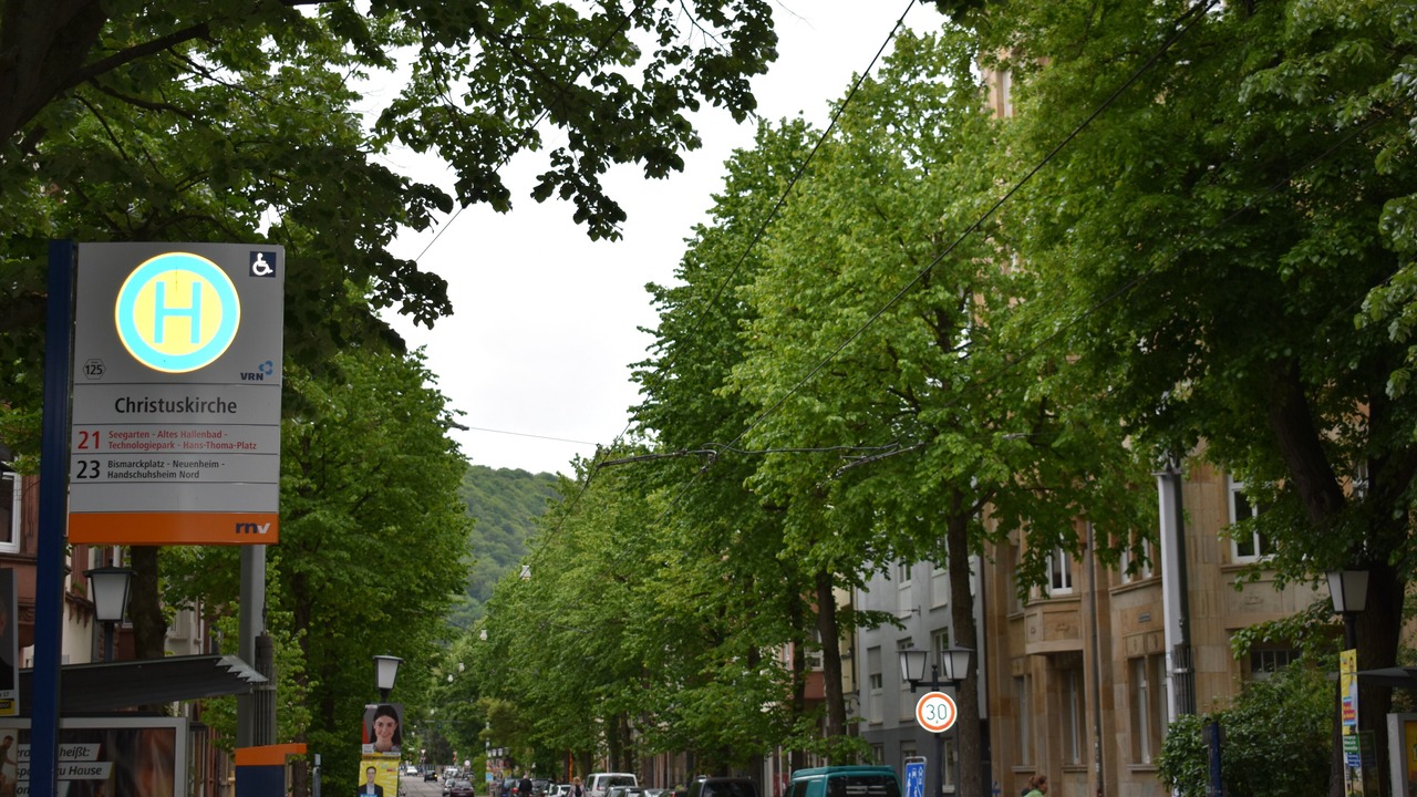 Photo of Outdoor in Weststadt
