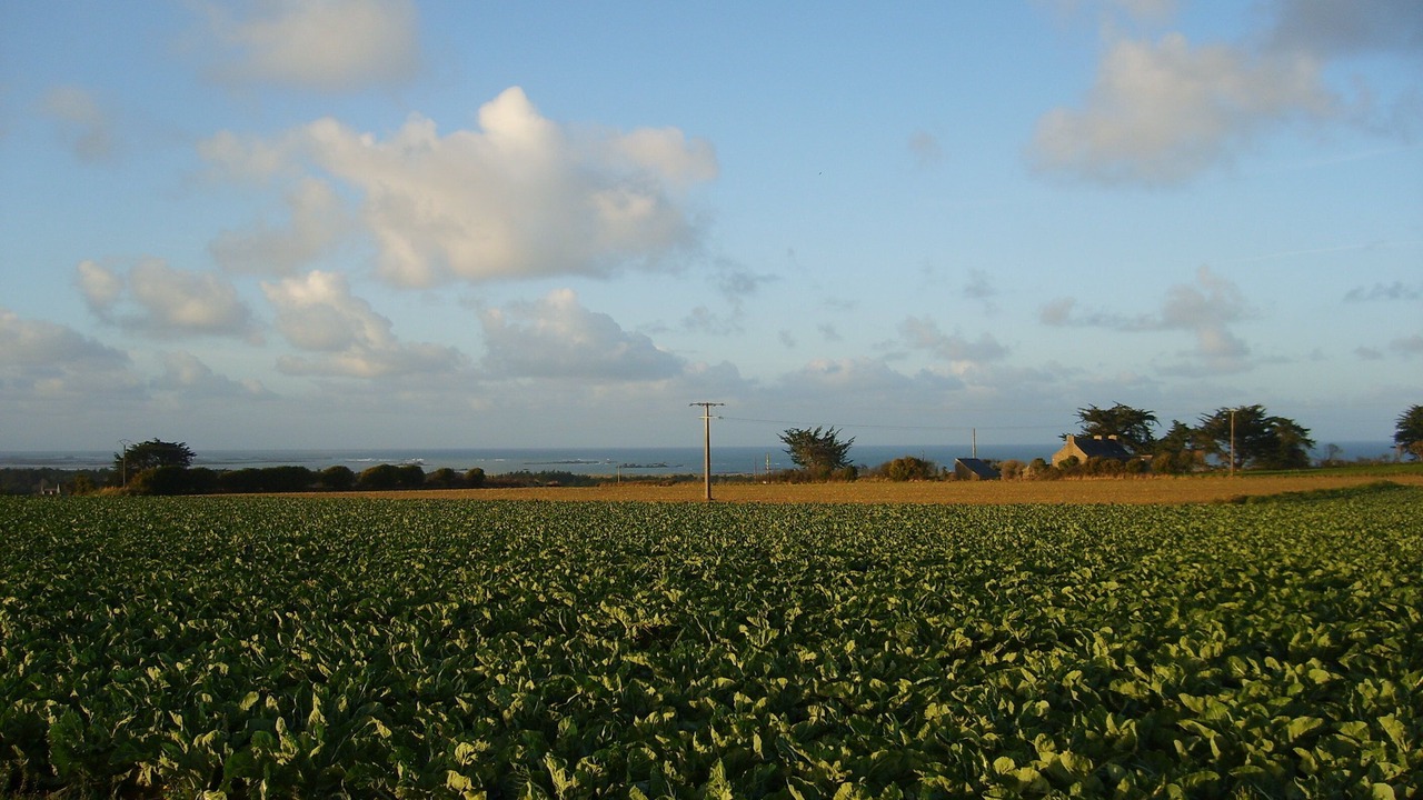 Photo of Others in Plounevez-Lochrist