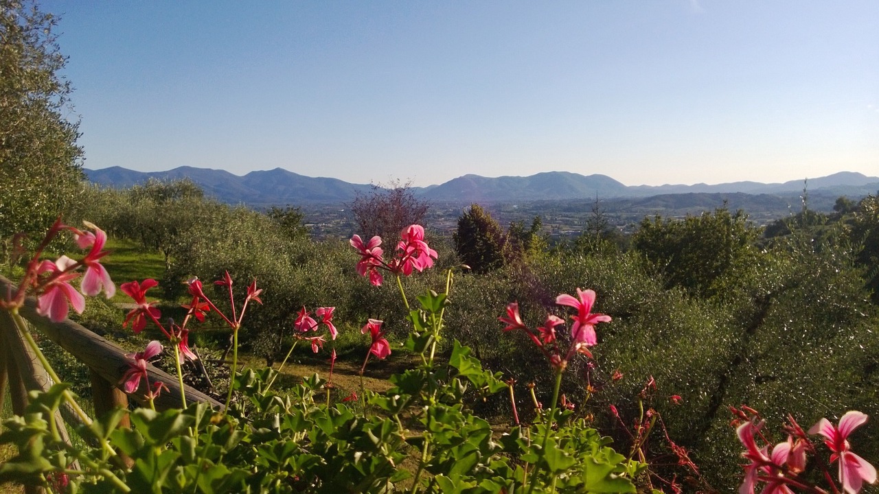 Photo of Outdoor in Matraia
