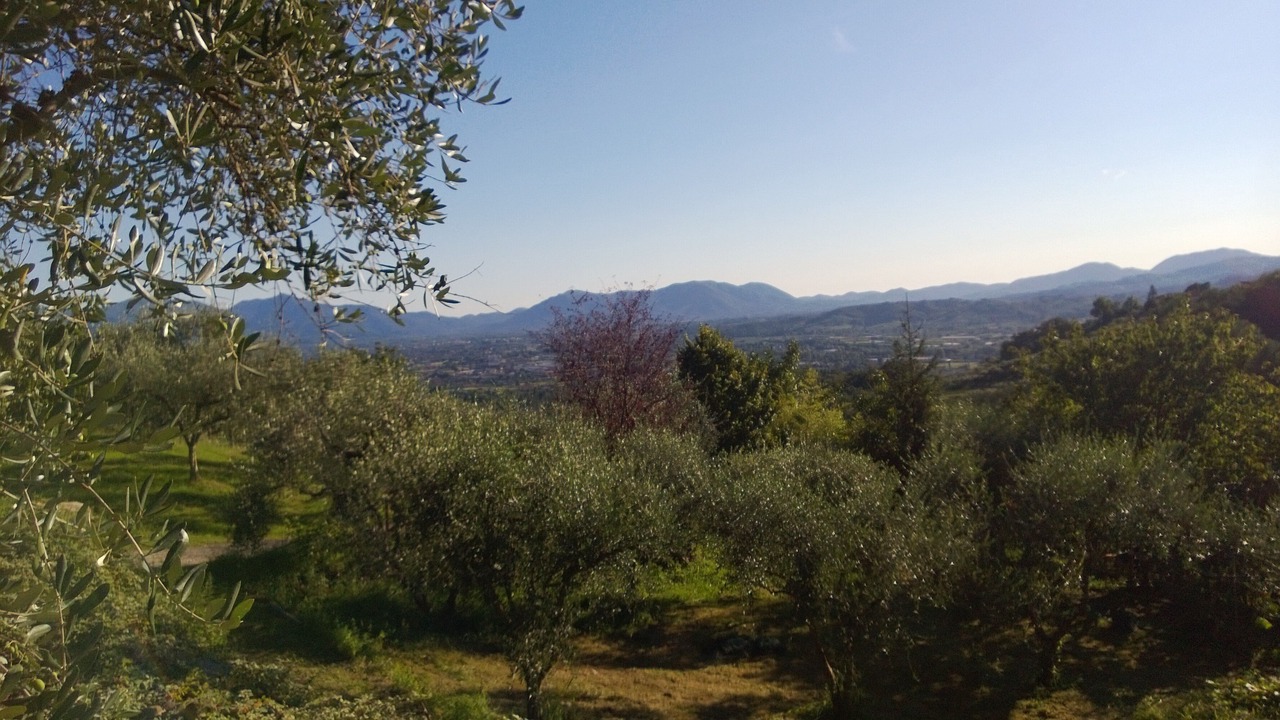 Photo of Outdoor in Matraia