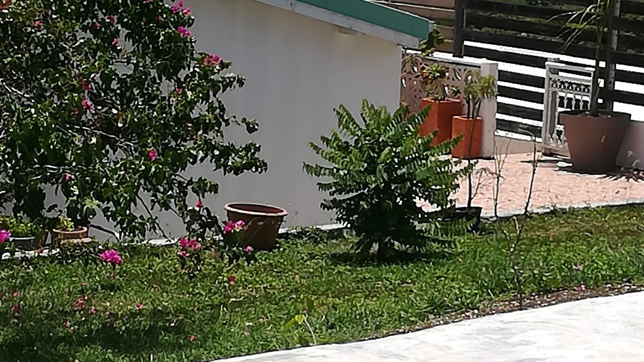 Photo of Outdoor in Le Moule