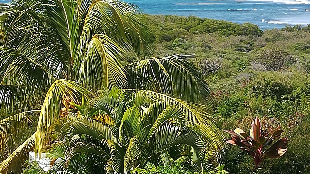 Photo of Outdoor in Le Moule