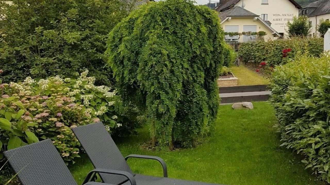 Photo of Outdoor in Leiwen