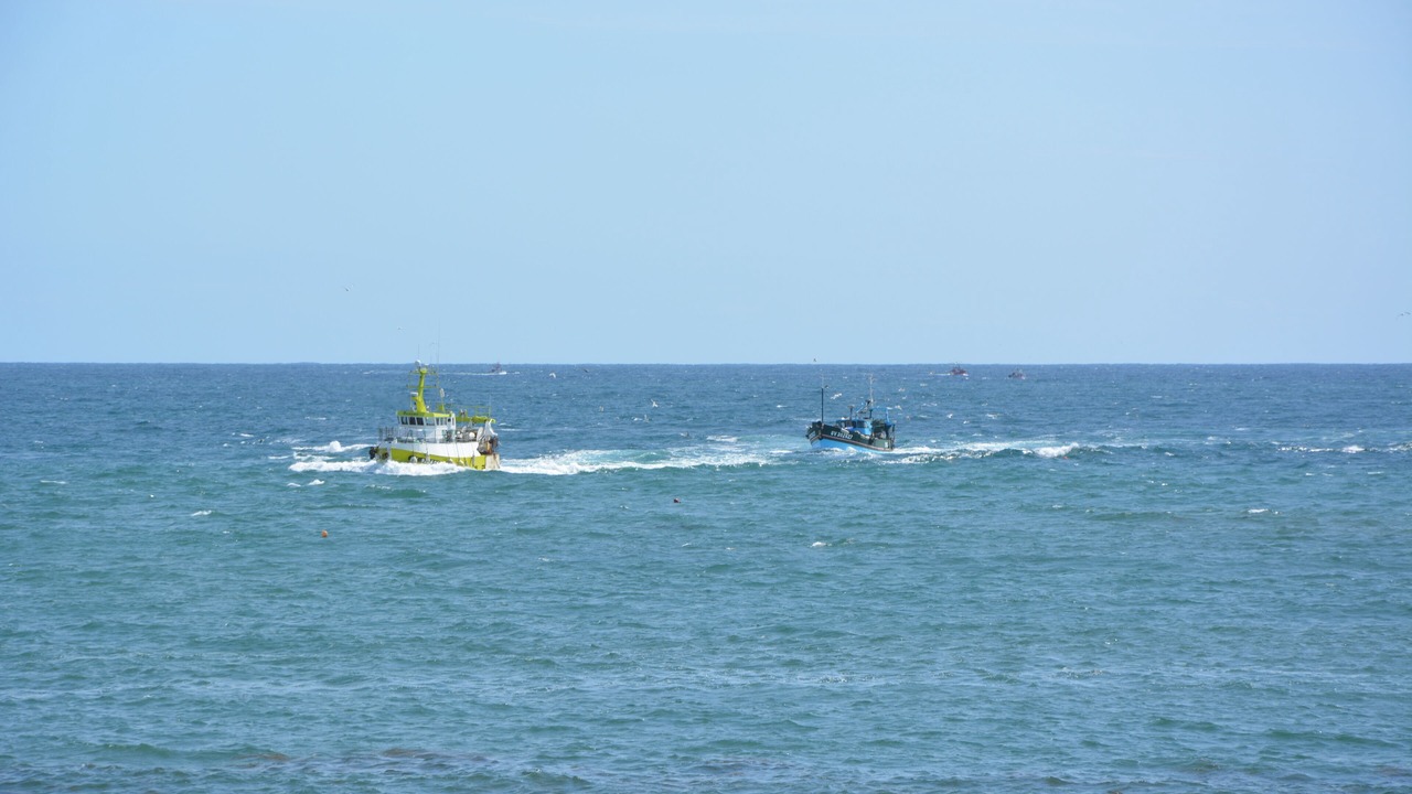 Photo of Others in Guilvinec