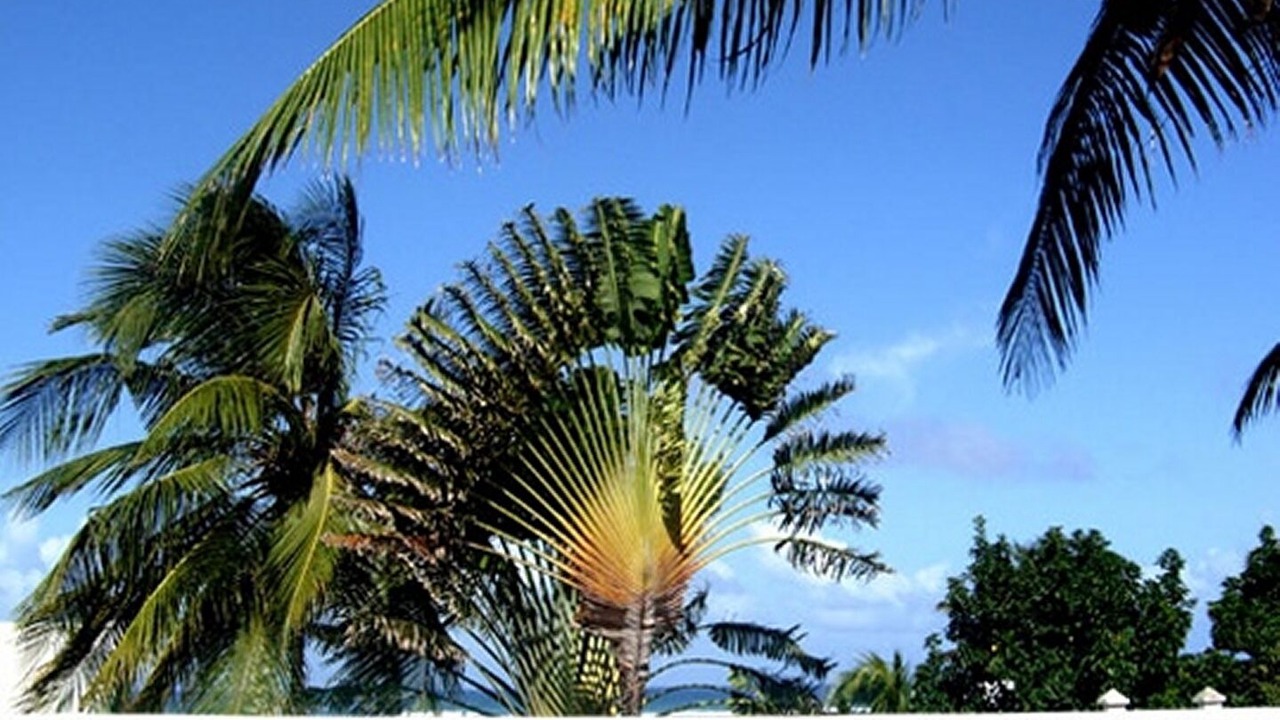 Photo of Outdoor in Morel