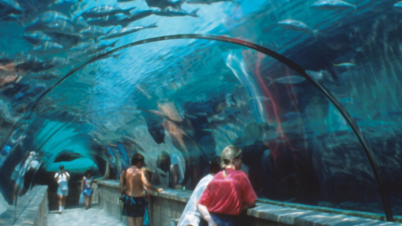Photo of Others in Nassau