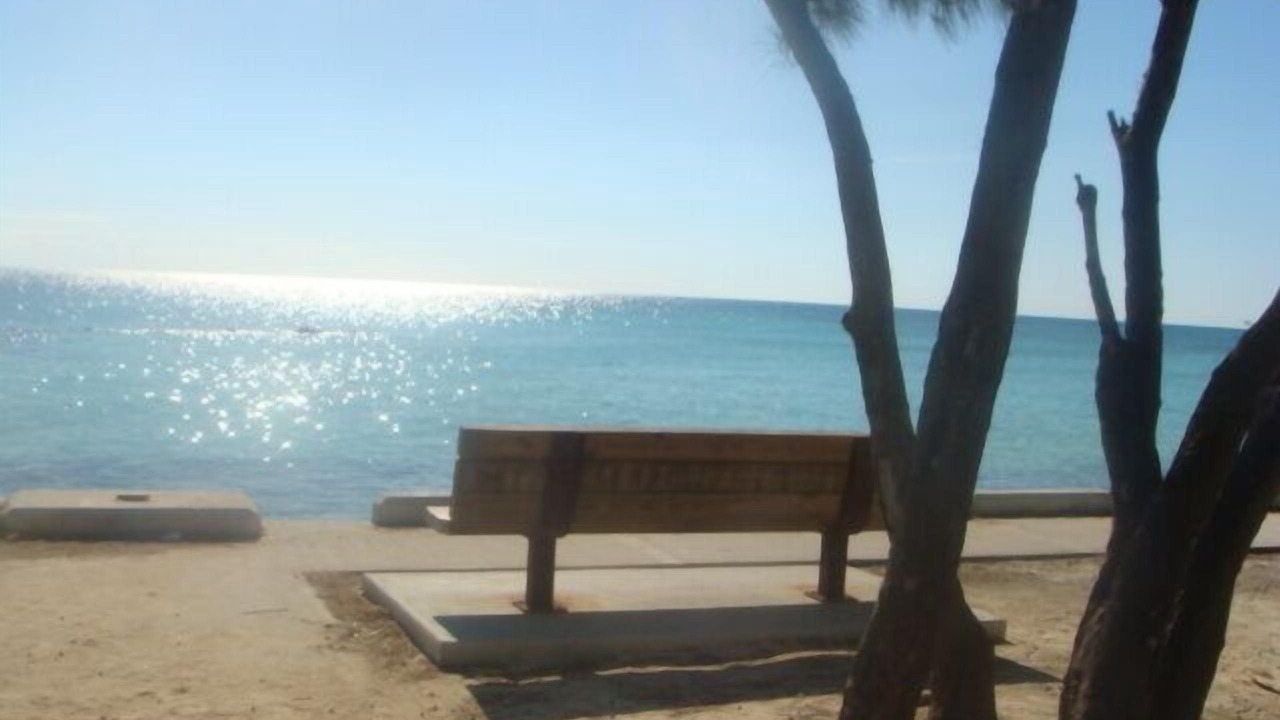Photo of Others in Nassau
