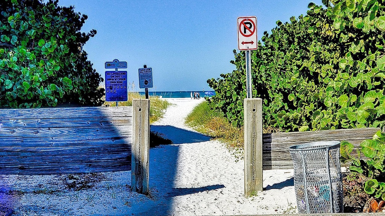 Photo of Others in Clearwater Beach