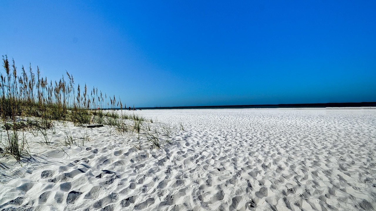 Photo of Others in Clearwater Beach