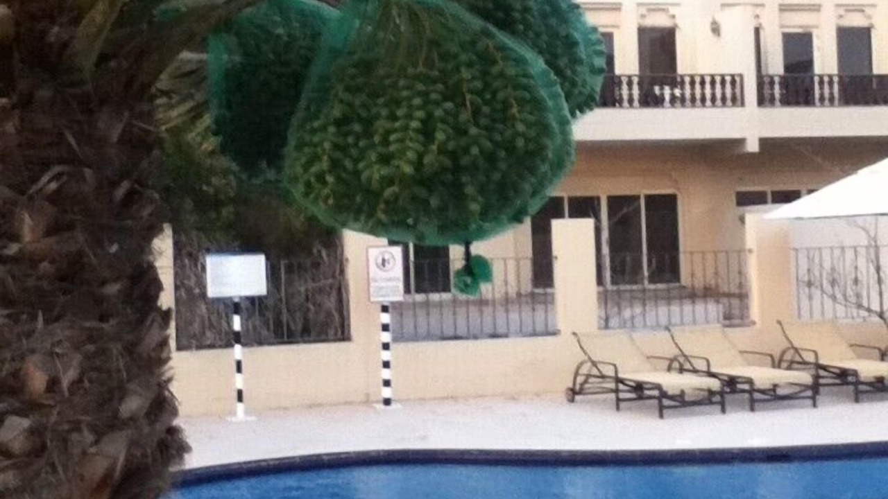 Photo of Outdoor in Ras Al Khaimah