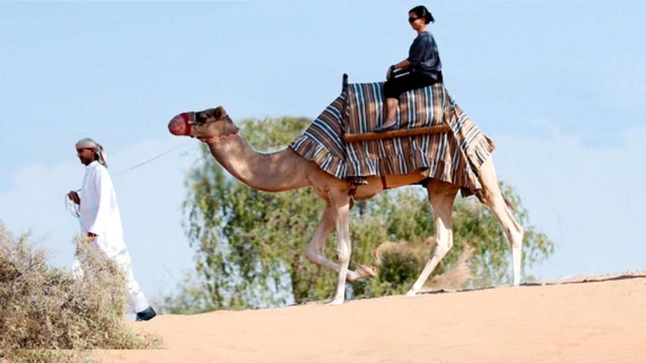 Photo of Others in Ras Al Khaimah