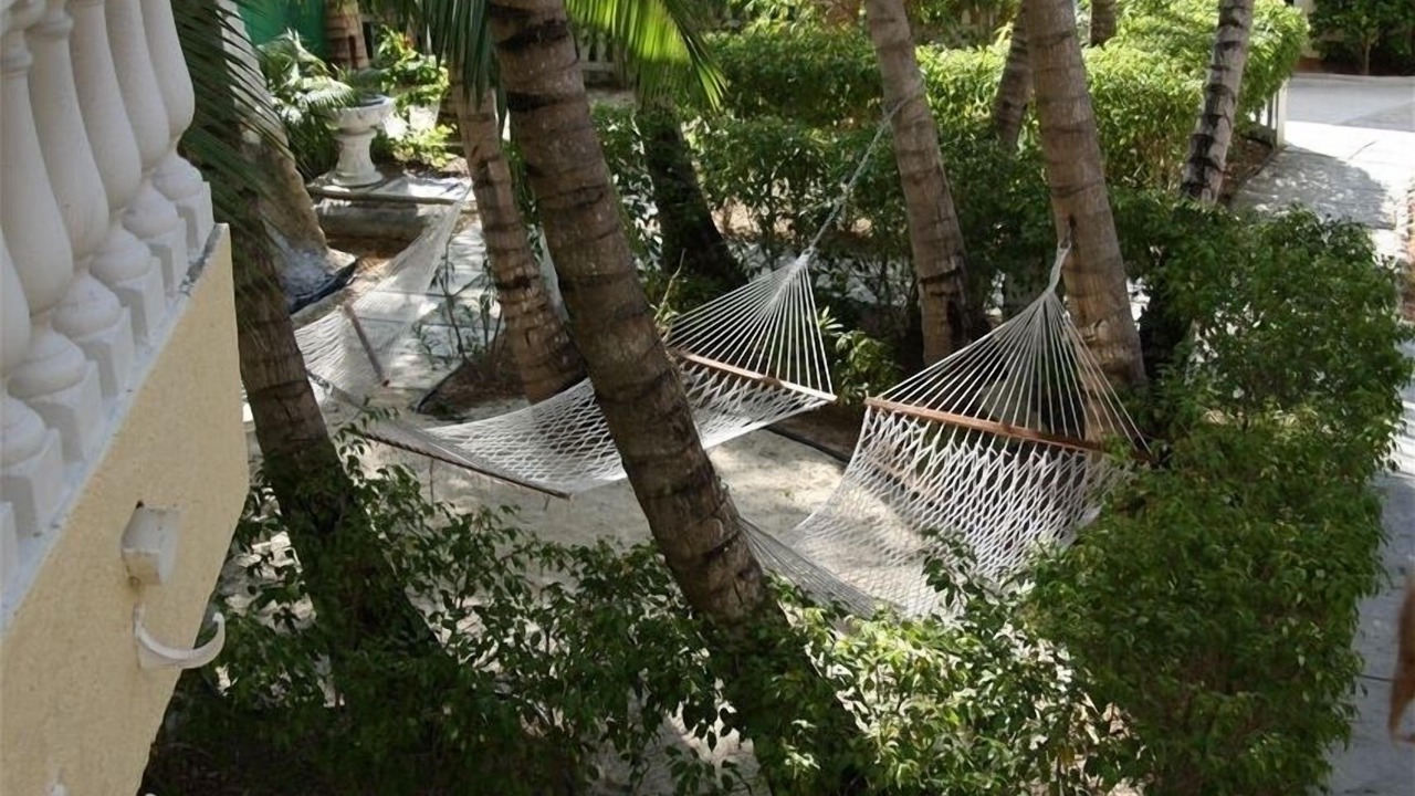 Photo of Others in Paradise Island