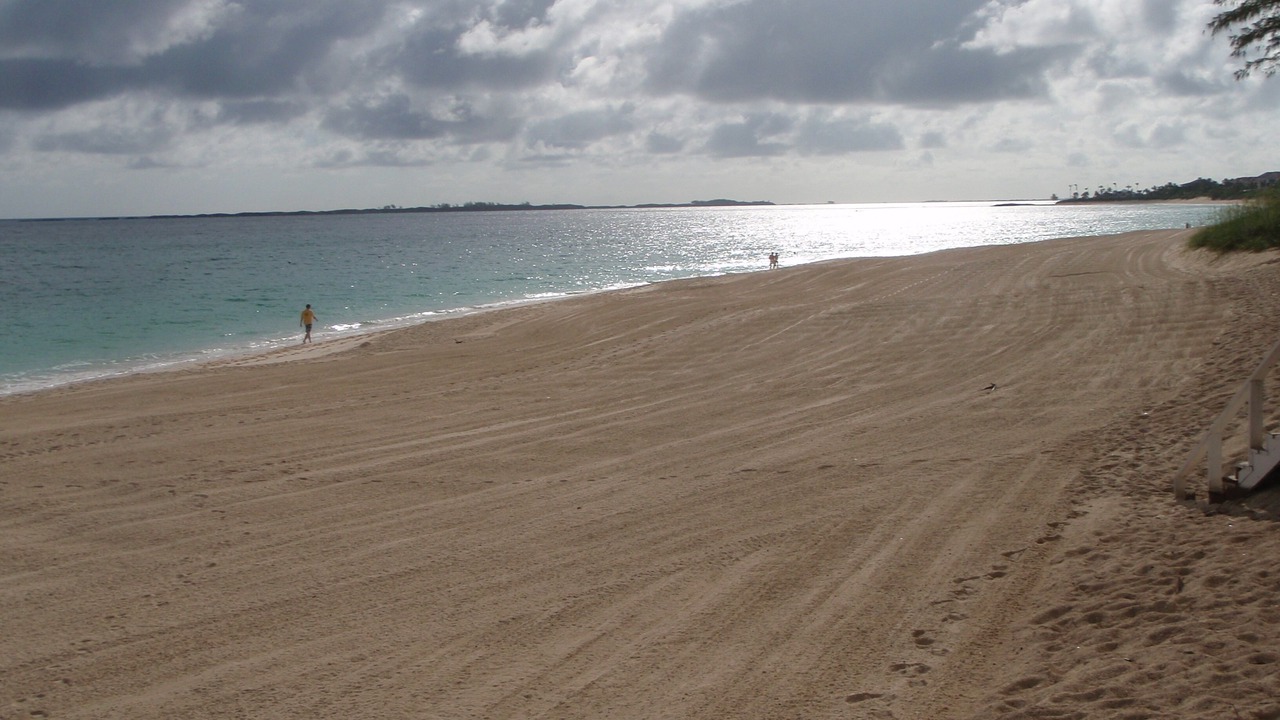 Photo of Others in Paradise Island