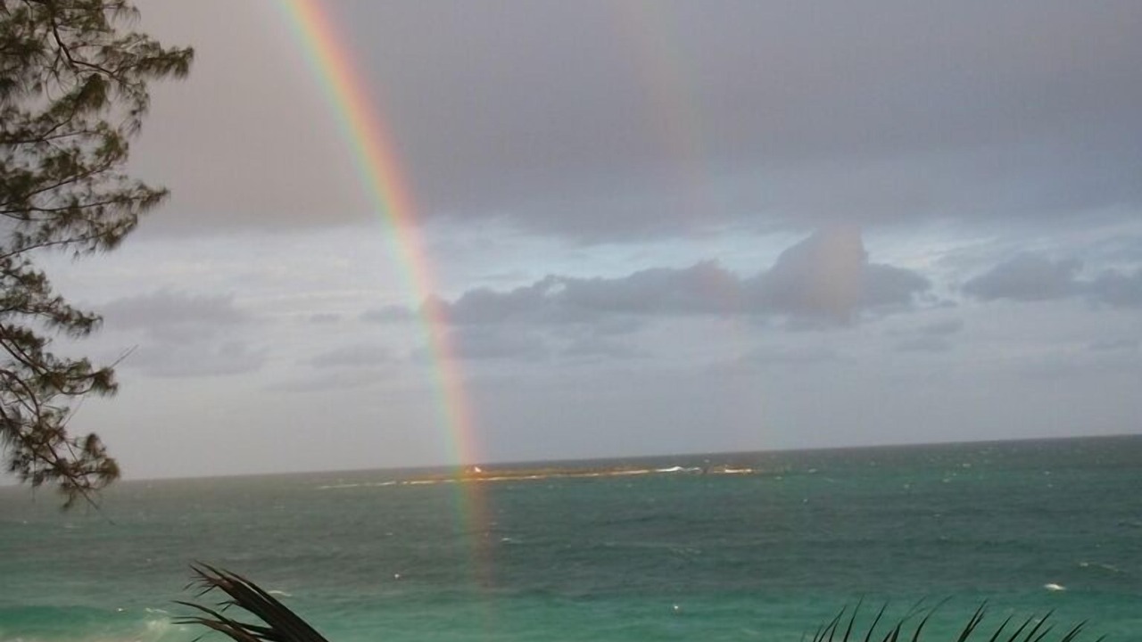 Photo of Others in Paradise Island