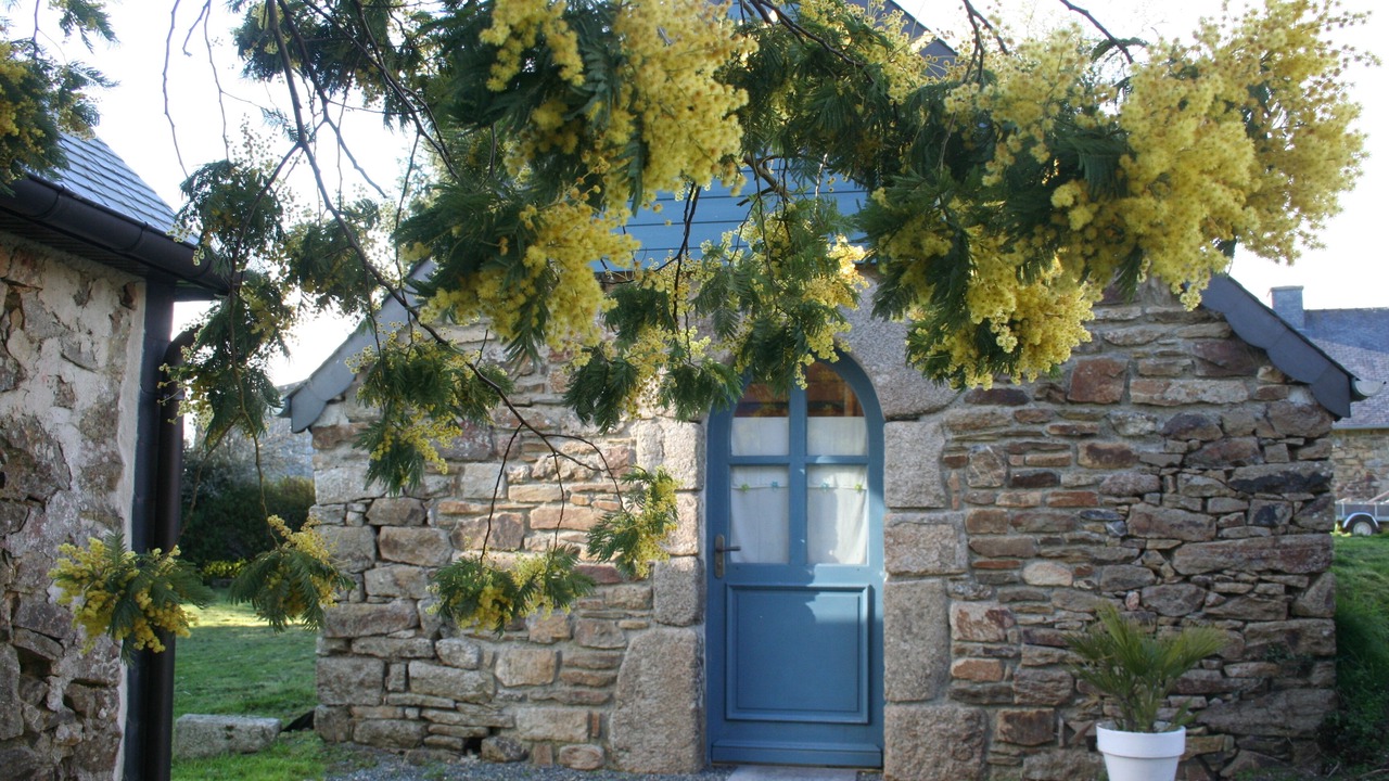 Photo of Outdoor in Callac