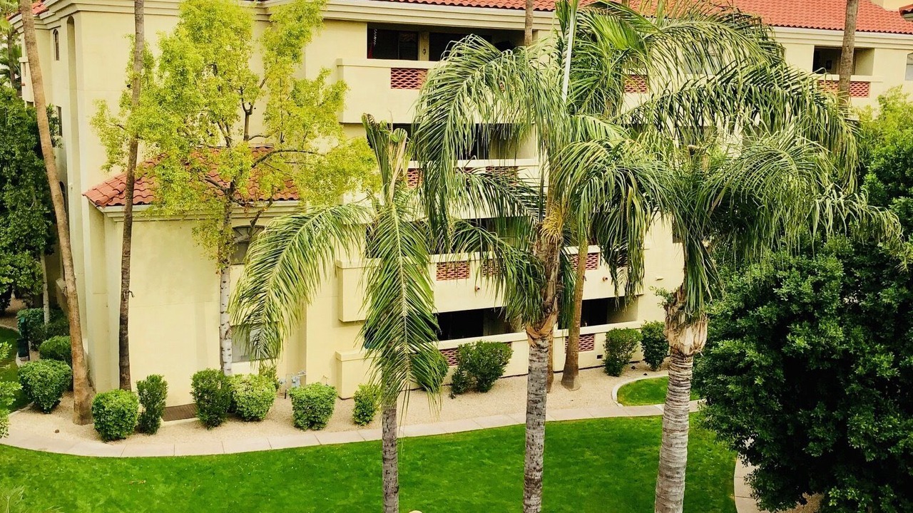 Photo of Outdoor in Camelback East