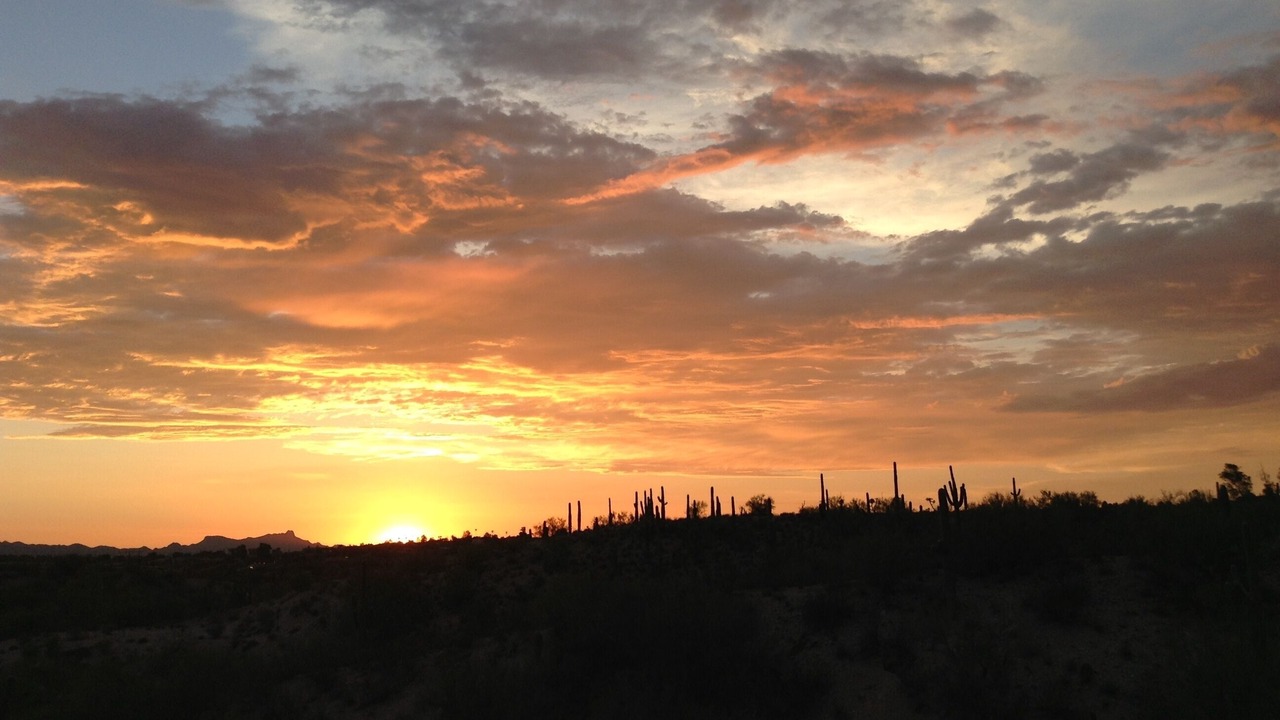 Photo of Others in Tucson