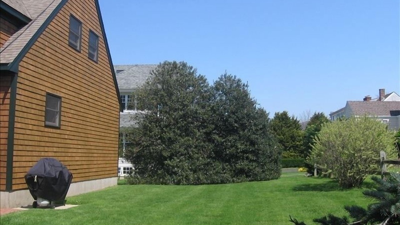 Photo of Others in Easton's Point
