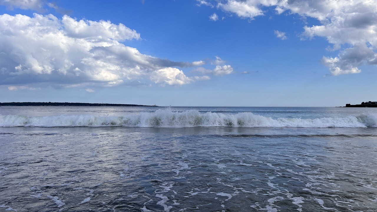 Photo of Others in Bonnet Shores