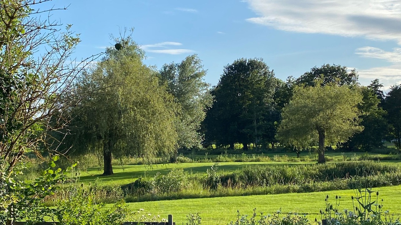 Photo of Outdoor in Monthou-sur-Cher