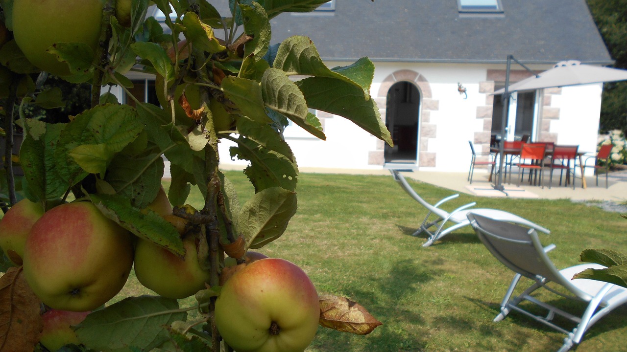 Photo of Outdoor in Erquy