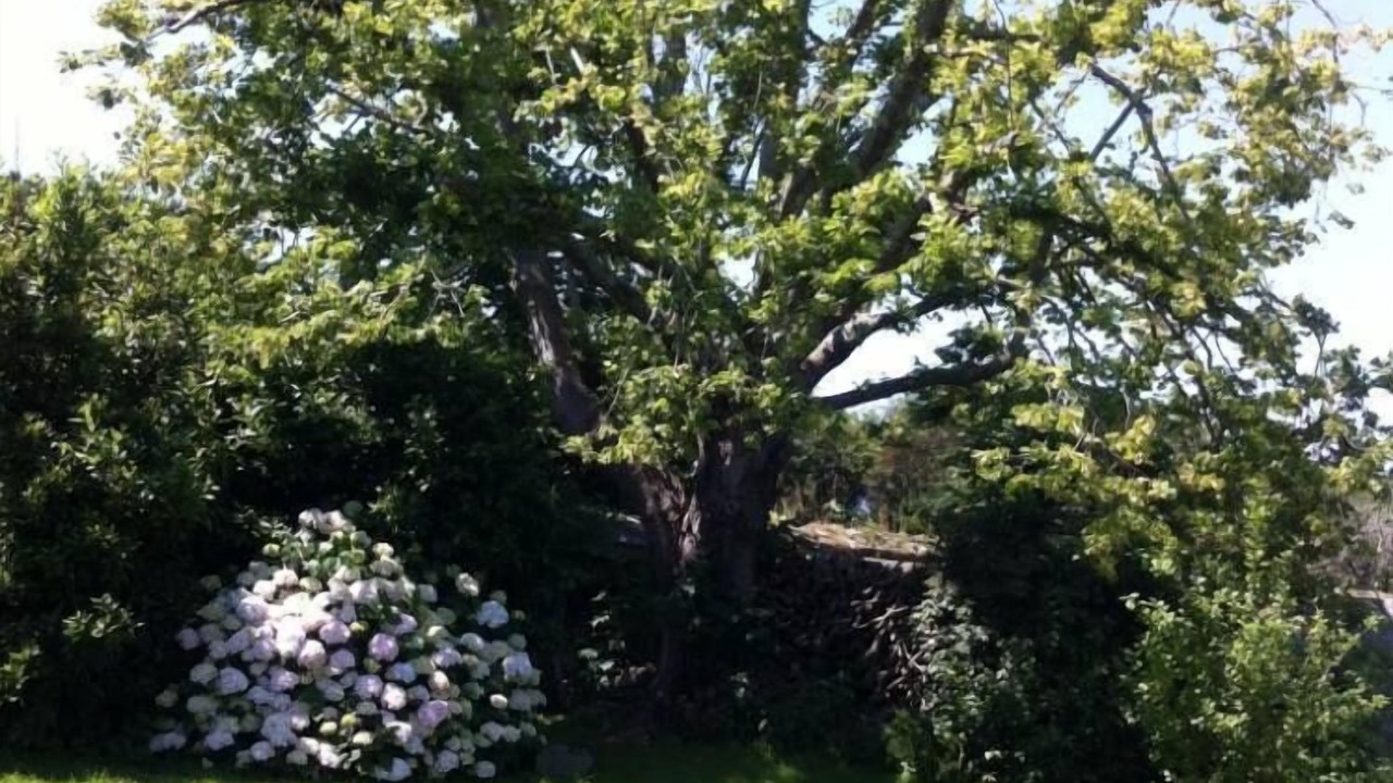 Photo of Outdoor in Groix