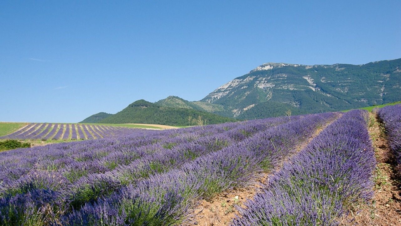 Photo of Outdoor in Grane