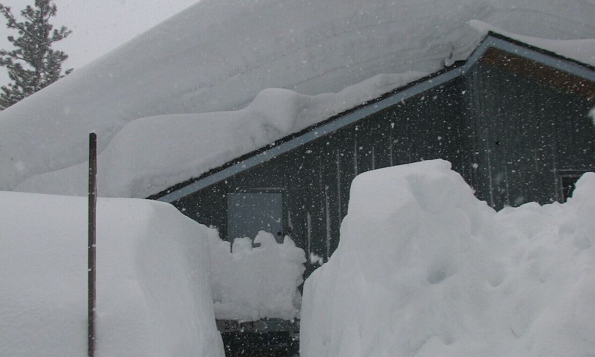 Photo of Others in Alpine Meadows