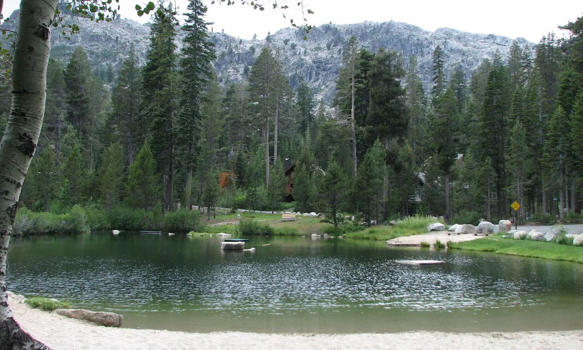 Photo of Others in Alpine Meadows