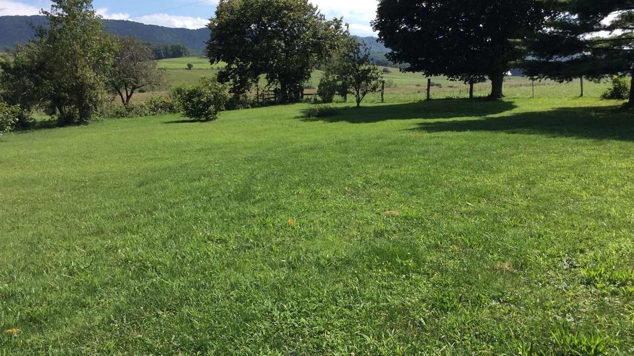 Photo of Others in Tazewell