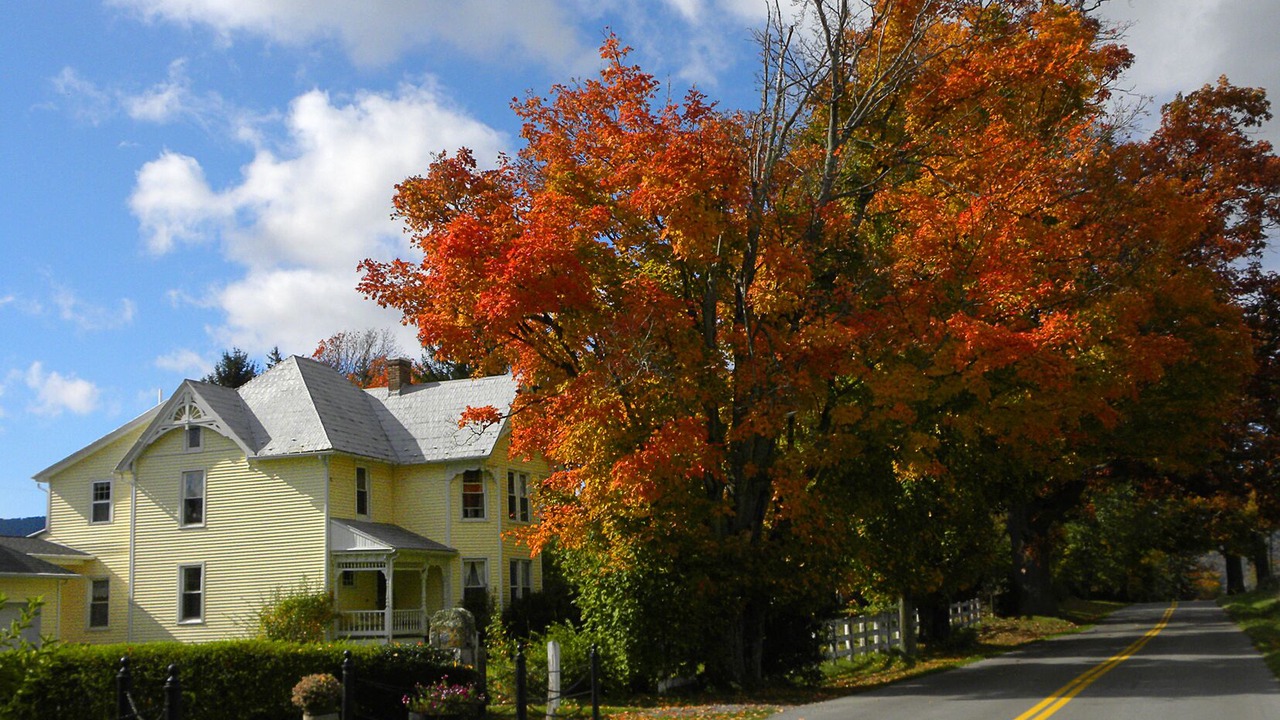 Photo of Outdoor in Tazewell