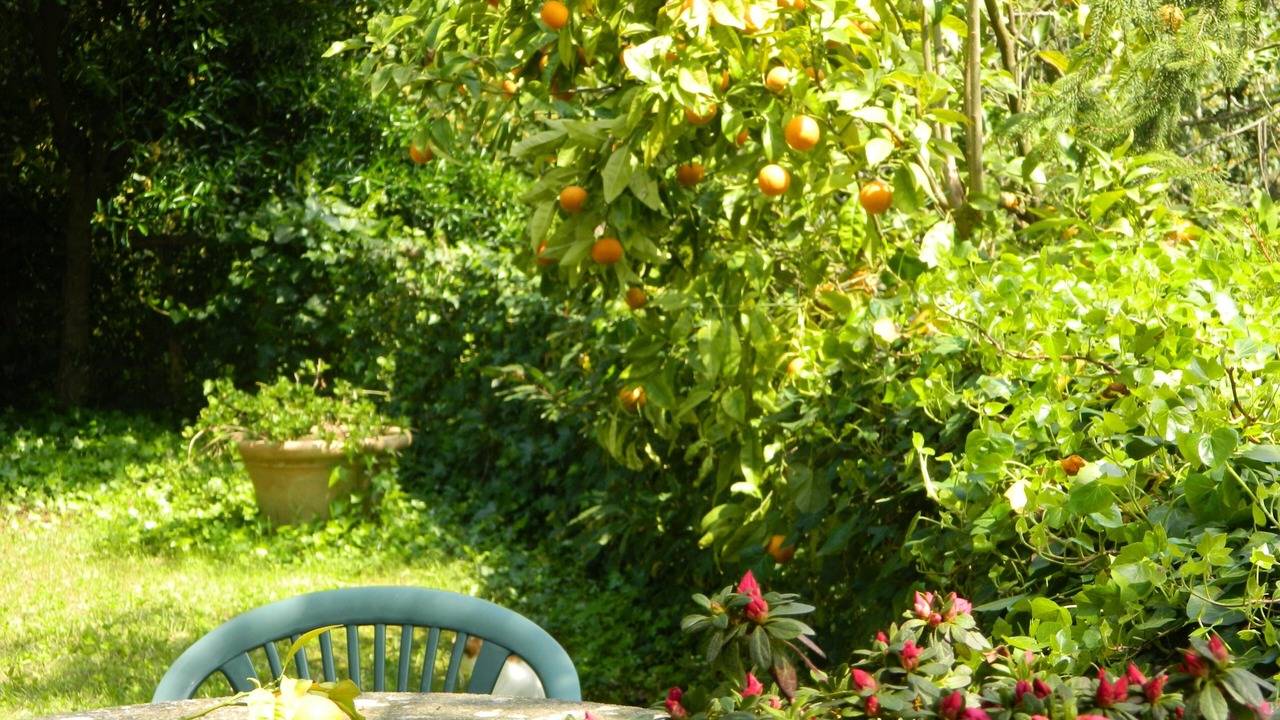 Photo of Outdoor in Calci