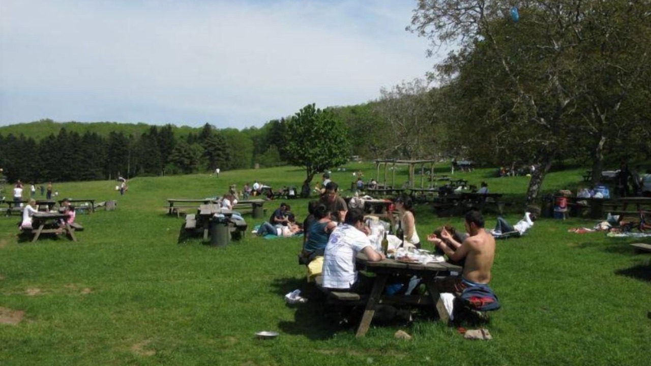 Photo of Outdoor in Calci